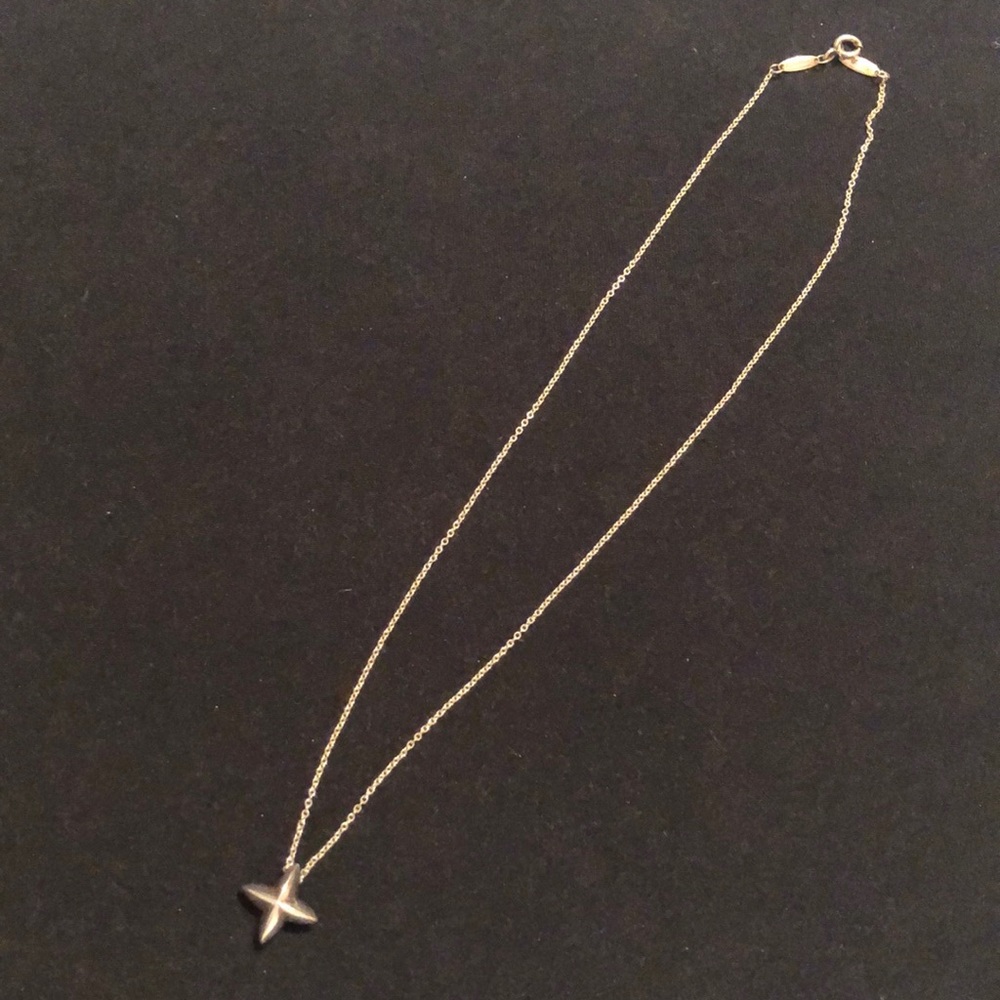 Tiffany Co. Sirius Start Necklace